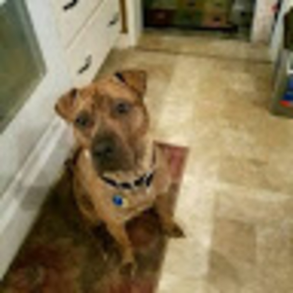 Meet your Posher, Tamara